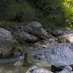 Ninetta Dolomiti Belluno