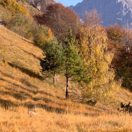 Ninetta Dolomiti * Μπελούνο