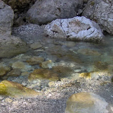 Monolocale Ninetta Dolomiti Bellunesi