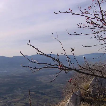 Apartamento Ninetta Dolomiti Belluno