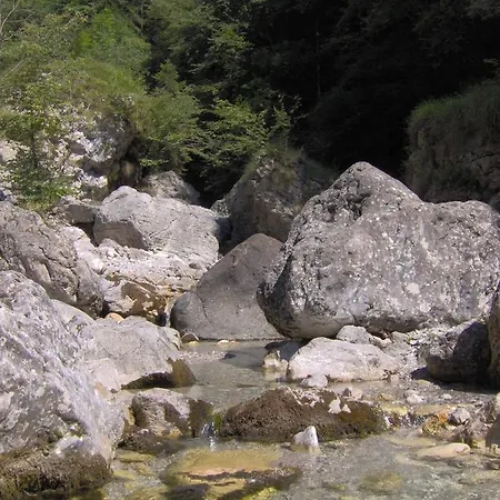 Ninetta Dolomiti Apartament *