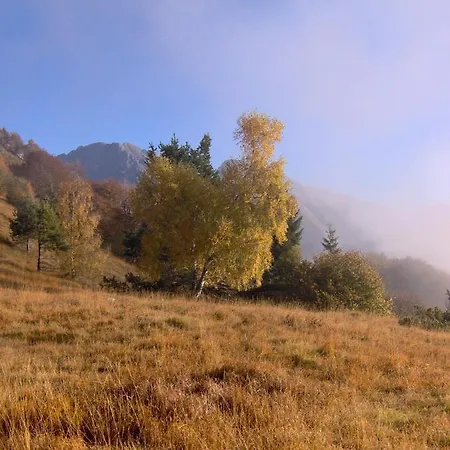 아파트 Ninetta Dolomiti *