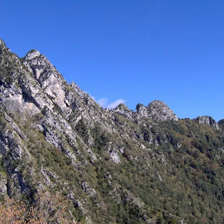Ninetta Dolomiti 아파트 벨루노
