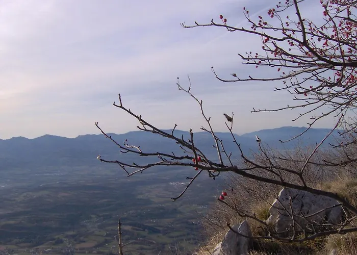 Appartamento Monolocale Ninetta Dolomiti Bellunesi Belluno