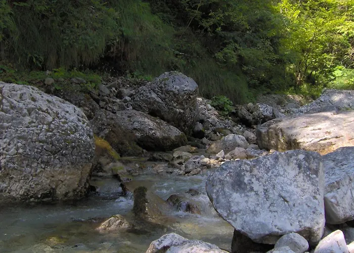 Ninetta Dolomiti ベッルーノ