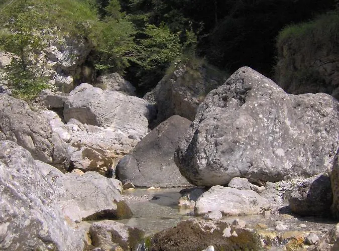 Ninetta Dolomiti Lägenhet *