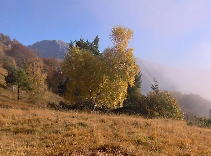 アパート Ninetta Dolomiti *