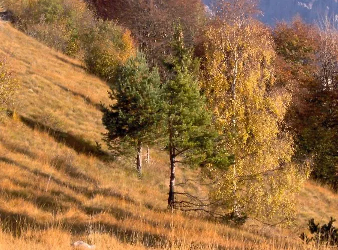 Ninetta Dolomiti * Belluno