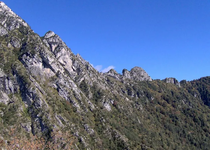 Monolocale Ninetta Dolomiti Bellunesi Appartamento Belluno