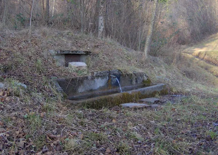 Monolocale Ninetta Dolomiti Bellunesi